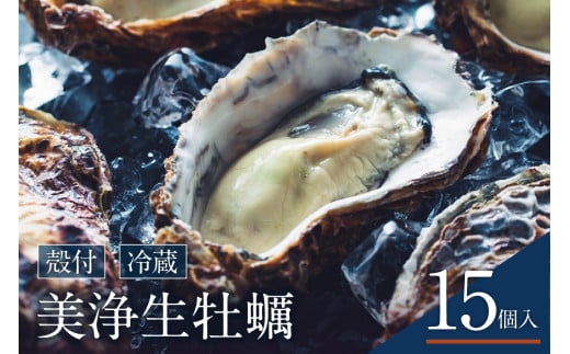 【先行受付】【2026年1月中旬より発送】中野水産 美浄生牡蠣（殻付）15個 牡蠣ナイフ付 ku007-003-25