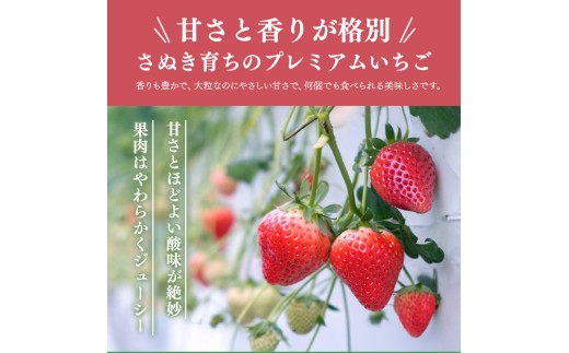 先行予約 いちご さぬきひめ 約500g (250g×2)  果物 フルーツ 苺 デザート スイーツ ケーキ ジュース ゼリー アイス シャーベット ジェラート フルーツ大福 ドライフルーツ クレープ