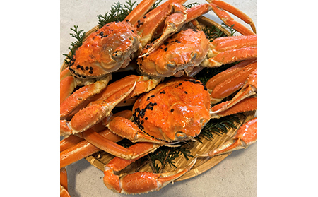 【A-17】鳥取網代港【訳あり】活！松葉ガニ2kgセット【さかなや新鮮組】