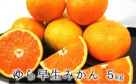 【2025年10月上旬より順次発送】甘みと酸味がギュッ　ゆら早生みかん5kg