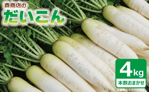 訳あり 大根 4kg 本数おまかせ だいこん 鍋 おでん ふろふき大根 野菜炒め サラダ 煮物 味噌汁 漬物 大根おろし 冬野菜 旬 野菜 惣菜 森商店 徳島県 吉野川市