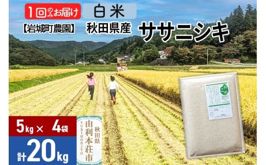 《令和7年産》【白米】ササニシキ 20kg(5kg×4袋) 秋田県 由利本荘市産 令和7年産 真空パック 岩城町農園