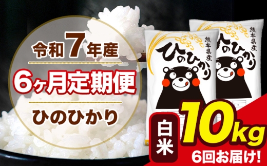 令和7年産 【6ヶ月定期便】 ひのひかり 白米 10kg 5kg×2袋 計6回お届け 熊本県産 こめ コメ 白米 精米 荒尾市 ひの 米 定期 《お申込み翌月から出荷》