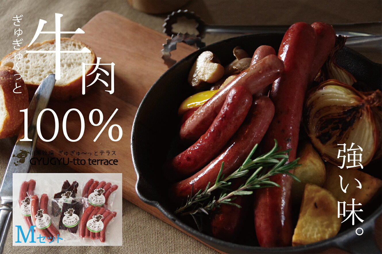 【ふるさと納税】ぎゅぎゅ～っとテラスセット（M） 3種6品 | 牛 肉 ソーセージ ウインナー ビーフジャーキー セット ポトフ 100%牛肉使用 おつまみ 詰合せ 詰め合わせ 北海道 津別町 送料無料