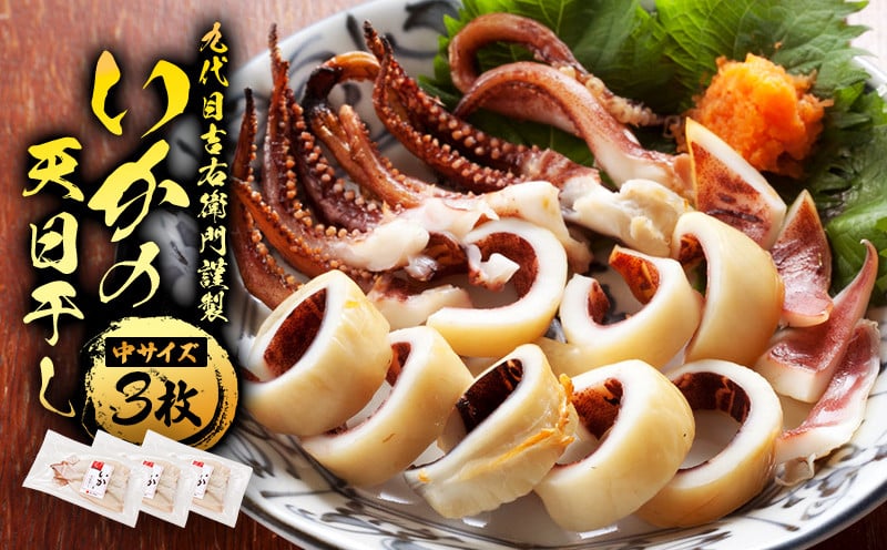 
            いかの天日干し 中サイズ 3枚 小分け パック 海鮮 魚介類 イカ 烏賊 おつまみ 三陸産 岩手県 大船渡市
          