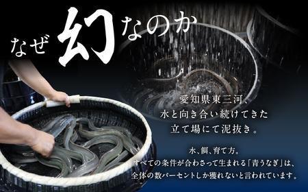  厳選 幻の青うなぎ 4尾 うなぎ