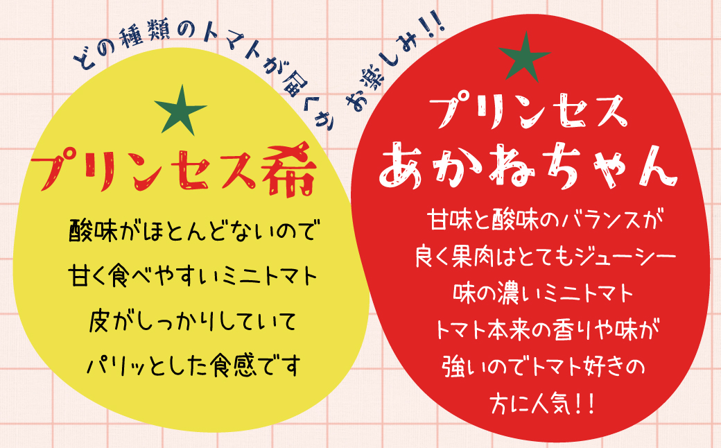 【内閣総理大臣賞受賞】毎日食べたくなるミニトマト３kg 農林水産大臣賞受賞 日本農業賞大賞受賞 H031-002