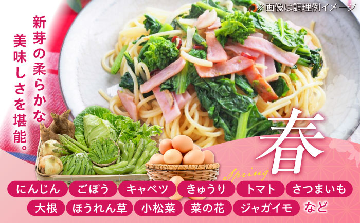 【全3回定期便】【数量限定】新鮮たまごと旬の野菜セット(野菜7~8品程度＋40個) / たまご 生卵 タマゴ 詰合せ セット 熊本県 特産品【有限会社さんふれあ】 [BHAK009]