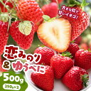 【ふるさと納税】 恋みのりとゆうべにセット 500g ｜ 果物 くだもの フルーツ いちご 苺 イチゴ 恋みのり ゆうべに セット 食べ比べ ジューシー 農家直送 熊本県 玉名市