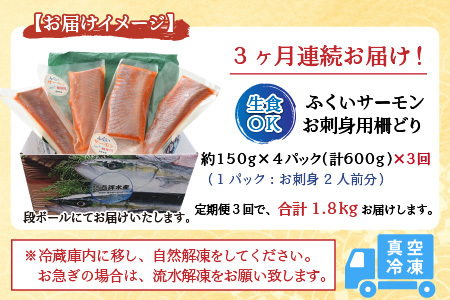 《定期便3回》ふくいサーモン 柵どり 150g×4パック 計600g ＜鮮度抜群！真空冷凍＞ ／ 生食OK 刺身 鮭 国産 [aw002-f003]