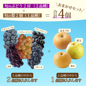 【先行受付】ぶどう2房と梨2個詰め合わせ 2025年9月下旬発送予定 果物 くだもの フルーツ ブドウ なし 葡萄 202008
