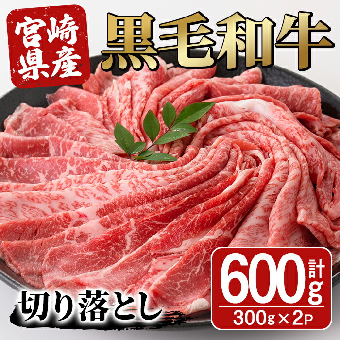 【ふるさと納税】宮崎県産黒毛和牛切り落とし(600g・300g×2P) モモ カタ バラ 国産 牛肉 こま肉 精肉 宮崎県産牛 お肉 黒毛和牛 おにく お取り寄せ【SJ009】【日本ハムマーケティング株式会社】