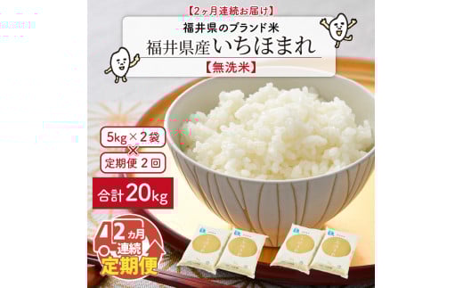 【令和7年産・新米】 定期便 ≪2ヶ月連続お届け≫ 福井県のブランド米 いちほまれ 無洗米 10kg × 2回 計20kg 【 無洗米 人気 品種 ブランド米 特A 】 [H-6101]