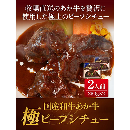 国産和牛 あか牛 極ビーフシチュー 2人前 250g × 2 三協畜産 《60日以内に出荷予定(土日祝除く)》---sms_skabfstu_23_60d_18000_2p---