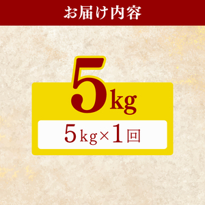 令和8年産 新米 こしひかり 5kg 新米