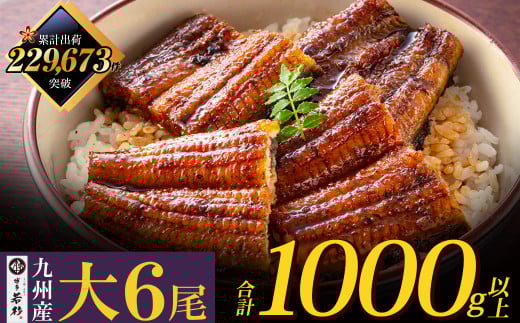 U61-72-02 国産うなぎ蒲焼大サイズ6尾（計1000g以上）鰻蒲焼用タレ・山椒付 うなぎ生産量日本一鹿児島県産・宮崎県産・熊本県産 うなぎ 鰻 国産 うなぎ蒲焼き うな重 ひつまぶし 国産鰻 ウナギ 蒲焼 人気 鰻 おすすめ タレ 山椒 鰻 6尾 大容量 鰻 うなぎ ウナギ 国産 福智町