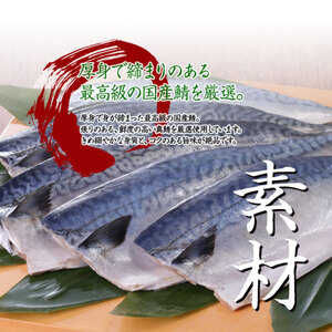【 柿の葉寿司 】 冷凍炙り鯖 鮭 穴子 計6個 柿の葉寿司