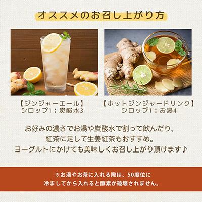 ふるさと納税 枕崎市 ジンジャーシロップ(150g×1個)【非加熱発酵】【優しい甘さの生姜シロップ】【米入り】Z0-41 |  | 03