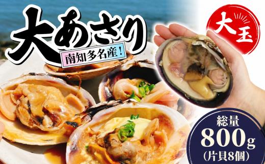 南知多名産！ 大あさり カット済み 大玉 片貝8個 800g 冷凍 プロトン凍結 魚貝 鮮魚 魚太郎 特産品 バーベキュー BBQ 浜焼き 酒蒸し 大あさり 大浅蜊 あさり アサリ 浅蜊 蛤仔 貝 かいし 大あさり 大浅蜊 あさり アサリ 浅蜊 蛤仔 貝 かいし 大あさり 大浅蜊 あさり アサリ 浅蜊 蛤仔 貝 かいし 大あさり 大浅蜊 あさり アサリ 浅蜊 蛤仔 貝 かい愛知県 南知多町