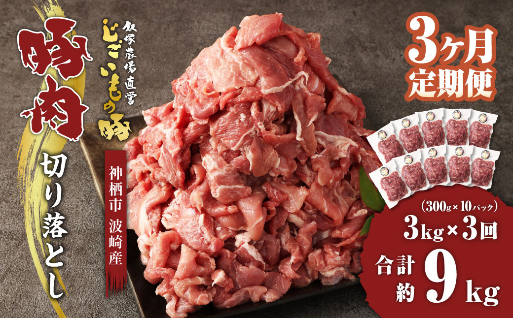 
【3ヶ月定期便】 豚肉 切り落とし 約3kg(約300g×10パック)×3回 合計 約9kg 豚 肉 じごいもの豚 定期便 茨城県 神栖市
