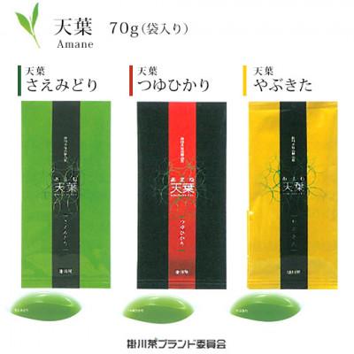 ふるさと納税 掛川市 深蒸し煎茶 天葉 3袋セット