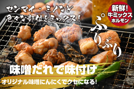 大美のとんちゃん（ミックス）牛ホルモン ミックス 味噌ダレ 1kg（500g×2パック）