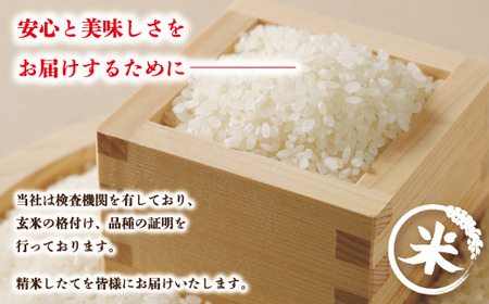 24-149．【令和6年産新米・早期受付】四万十のこしひかり10kg（5kg×2袋）【2024年9月より順次配送】