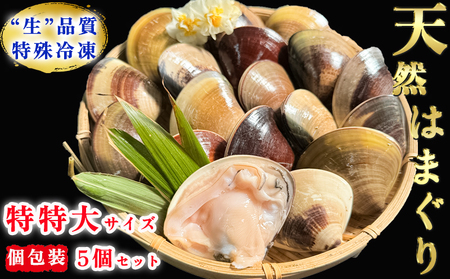大粒!天然はまぐり(特特大サイズ)170g前後×5個入り 個包装 岬だより