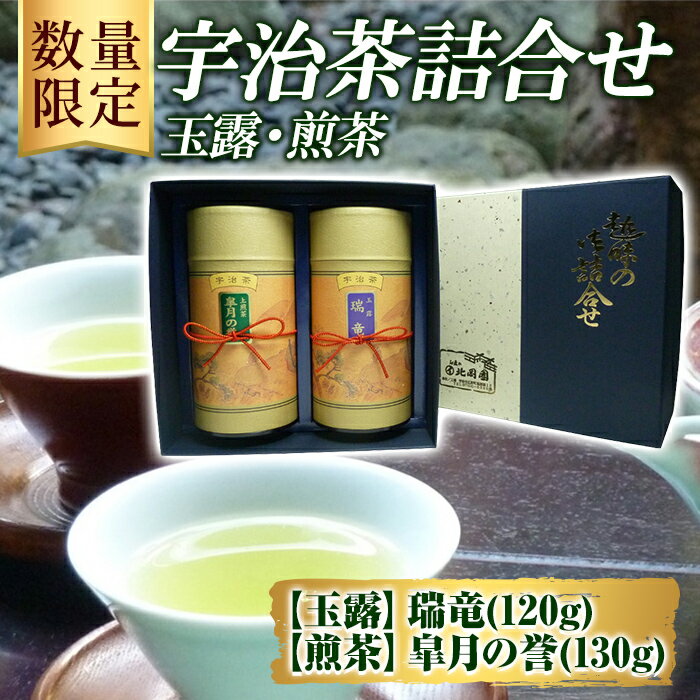 【ふるさと納税】＜数量限定＞宇治茶 玉露「瑞竜」・煎茶「皐月の誉」詰合せ(2種・各1) 京都府 宇治市 京都 宇治 お茶 茶葉 煎茶 玉露 お土産 ギフト 贈答 【uj-FO002】【北岡園】