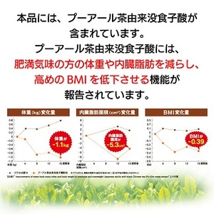 048-10　【定期便6か月】国産プーアール茶　SARYU-SOSO（5g×10ティーバッグ）×6回　＜機能性表示食品＞