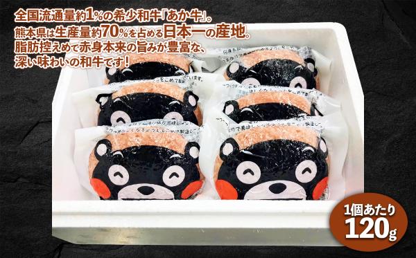 くまモン あか牛 100% ハンバーグ 6個 熊本 和牛 肉 牛肉 ハンバーグ あか牛 冷凍 小分け 惣菜 おかず お取り寄せグルメ 熊本県 水上村 6個