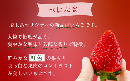 いちご あまりん べにたま 食べ比べ 250g×4 いちご 埼玉県 久喜市