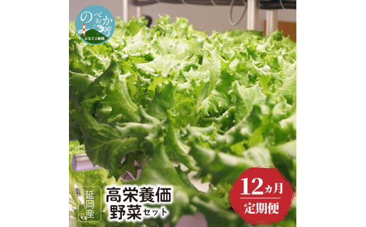 延岡産高栄養価野菜セット12回定期便 N056-YZG048