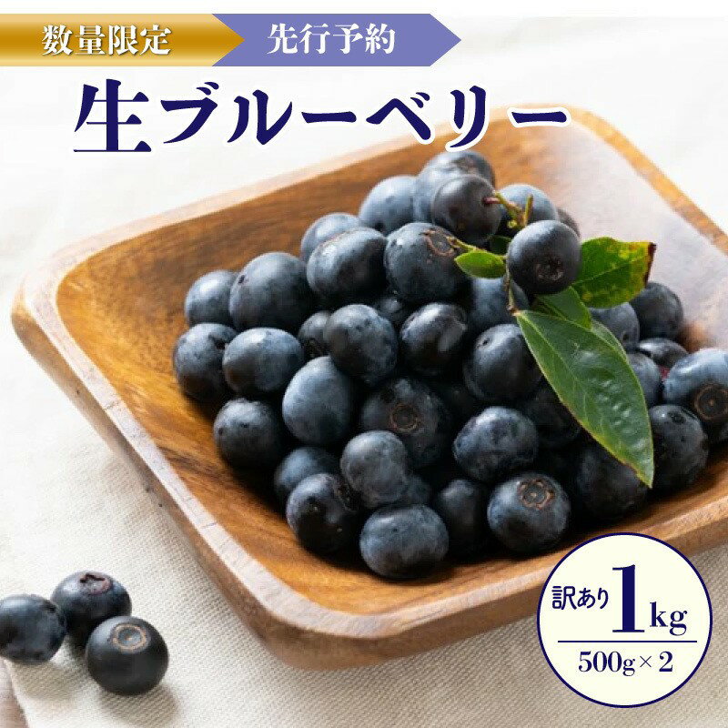 【ふるさと納税】【先行予約／数量限定20】【訳あり】無選別 生ブルーベリー500g×2（2026年7月上旬～発送） 生 ぶるーべりー フルーツ 果物 アントシアニン 完熟 期間限定 国産 わけあり ワケアリ 訳有り 訳アリ 生産者応援 農家応援 送料無料