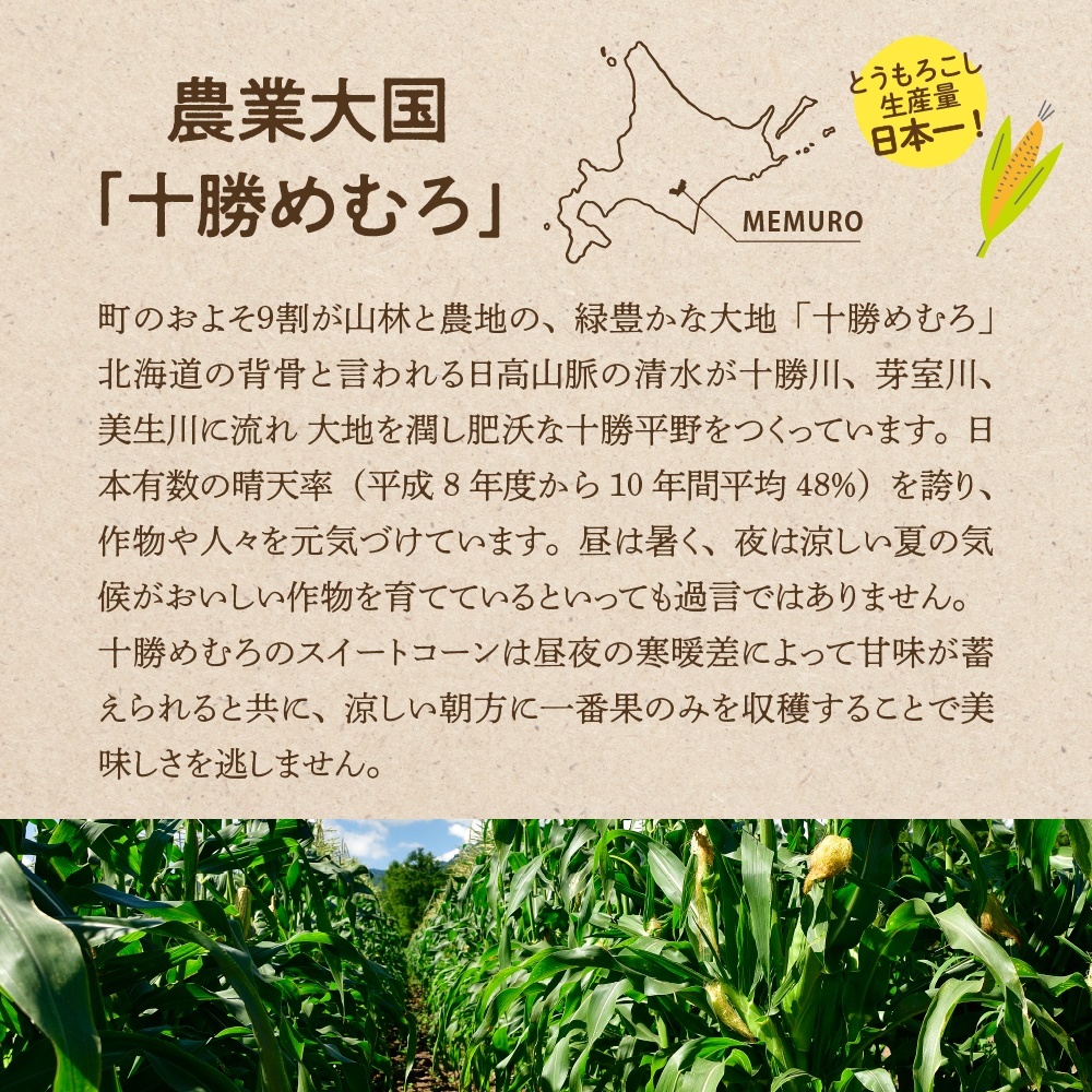 【2027年産】とかち晴れ 十勝めむろ スイートコーン 13本 meb010-005-27 / ゴールドラッシュ とうもろこし 甘い 人気 朝採り 産地直送 送料無料 北海道 十勝 芽室町