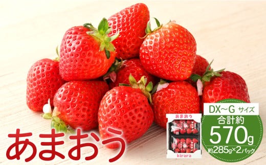 あまおう 約570g 約285g×2パック いちごファームきらら 冷蔵【ふくおかエコ農産物認証】【2027年2月上旬-3月下旬発送予定】
