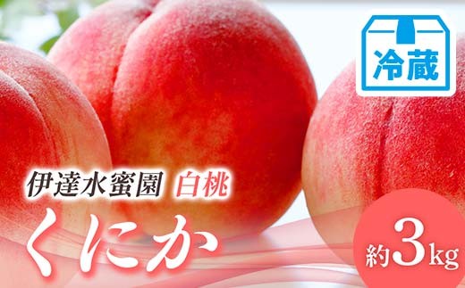 
                  【2026年出荷分先行予約】<冷蔵配送>福島県産 くにか 約3kg (9～16玉) 有限会社伊達水蜜園 白桃 大玉 伊達の桃 桃 フルーツ 果物 もも モモ momo F21C-253
                