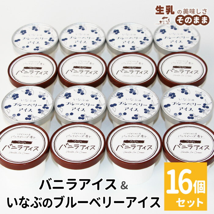 【ふるさと納税】《7月末で受付終了》〈スピード発送〉マダガスカル産バニラビーンズ香る バニラアイス＆いなぶのブルーベリー 16個入り 80ml アイスクリーム 詰め合わせ 即日発送 アイス ギフト ソフトクリーム 無農薬 果物 ミルク 長野県 根羽村