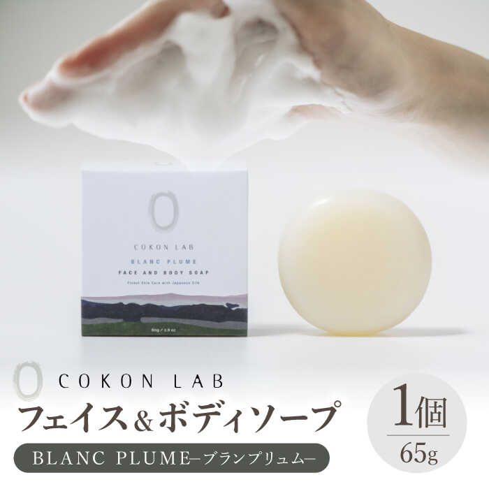【ふるさと納税】COKONLAB フェイス＆ボディソープ ブランプリュム【株式会社 あつまるホールディングス NSP山鹿工場】[ZBR018] 化粧品 コスメ 美容 国産 ボディケア ハンドケア 石鹸 せっけん