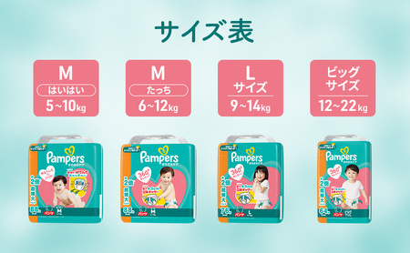 パンパース おむつ パンツ さらさらケア P＆G Lサイズ 76枚入 1パック