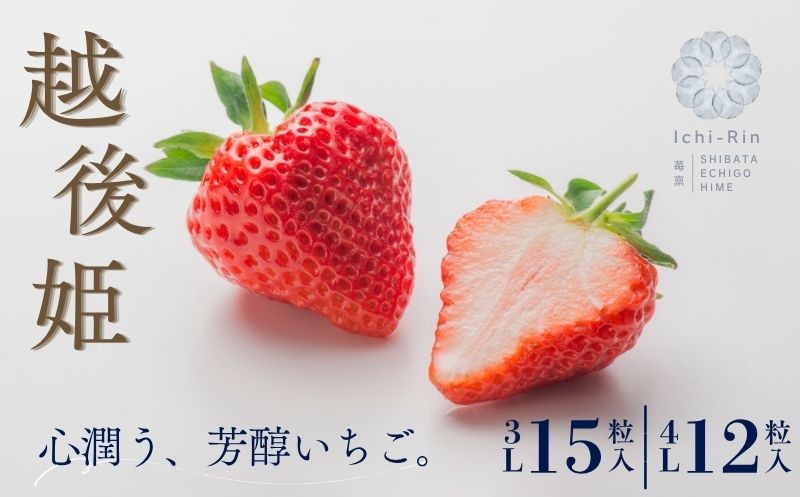 
            【先行予約】 越後姫 大粒 選べる 4L 12粒 3L 15粒 1パック いちご 苺 ブランド 旬 果物 くだもの 人気 フルーツ デザート 冬 贈答用 プレゼント お取り寄せ 農家直送 冷蔵 Ichi-Rin 苺禀 いちりん 新潟県 新発田市 ichirin002P
          