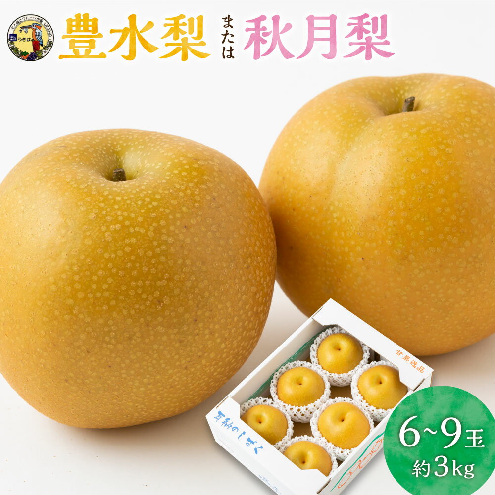 【ふるさと納税】【先行予約】道の駅うきは 豊水梨または秋月梨 6玉から9玉 (約3kg) 【2026年8月下旬から9月上旬 出荷予定】 果物 果実 常温 送料無料 福岡県 うきは市