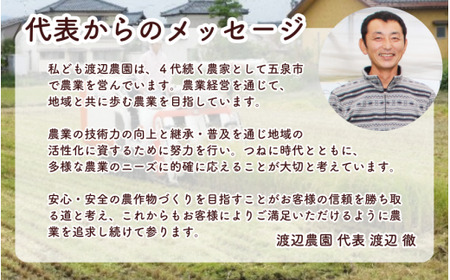 【令和6年度産新米】〈6回定期便〉特別栽培米コシヒカリ 精米 5kg(5kg×1袋) 渡辺農園