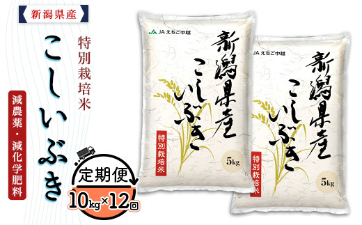 
                  75-7K10Z【12ヶ月連続お届け】新潟県長岡産特別栽培米こしいぶき10kg（5kg×2袋）
                