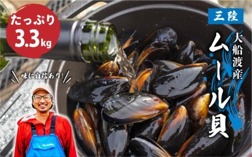 【8月～11月発送】 国産 活ムール貝 3.3kg ムール貝 ムラサキ貝 殻付き 新鮮 産地直送 旬 三陸 岩手県 大船渡市