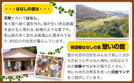 施設利用チケット 1000円 桃源郷はなしの里 岡山県矢掛町《30日以内に出荷予定(土日祝除く)》---iosy_tougent1_30d_23_5500_t---