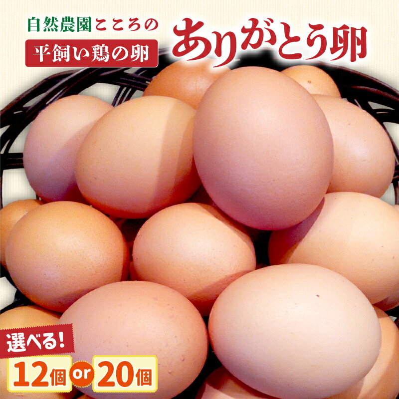 【ふるさと納税】【選べる内容量】自然農園「こころ」の平飼い『ありがとう卵』