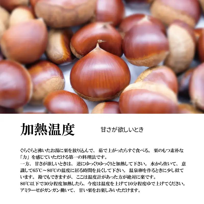 チルド熟成 丹波くり 4L 500g / 栗