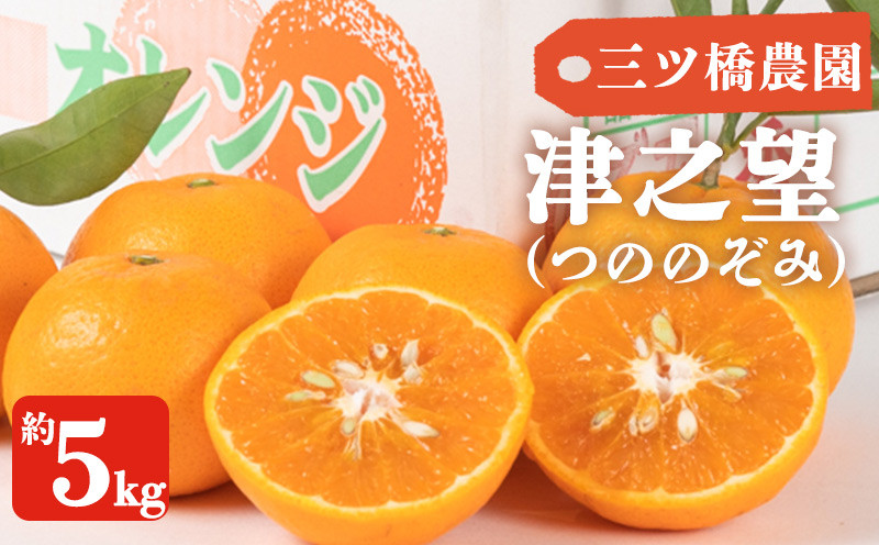 
            AW6110_【2026年先行予約】津之望 (つののぞみ) 5kg
          