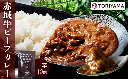 赤城牛 ビーフカレー（中辛）200g×10個 《ご当地レトルトカレーランキング全国第3位受賞》カレー レトルト 牛肉 銘柄牛 赤城牛 長期保存 群馬 渋川市 F4H-0828